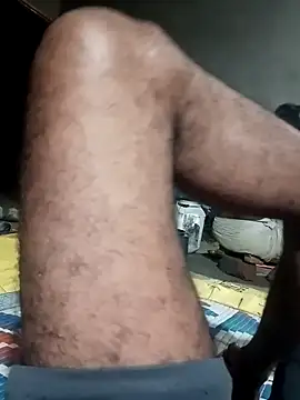 Bengali BULL1 online show from October 2025 02:39:01 PM