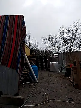 sarpe4 online show from November 2025 08:56:01 AM