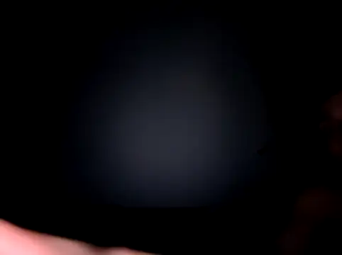 Snapshot of malpka25 chatting on January 2026 05:54:02 AM malpka25 online show from January 2026 05:54:02 AM