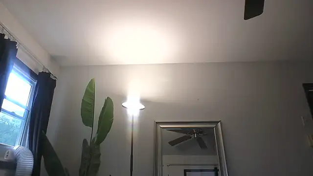 WetFlower69 online show from July 2026 01:42:02 PM