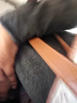 emma tour online show from December 2024 04:17:01 PM