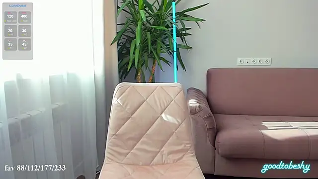 goodtobeshy online show from October 2025 11:27:01 AM