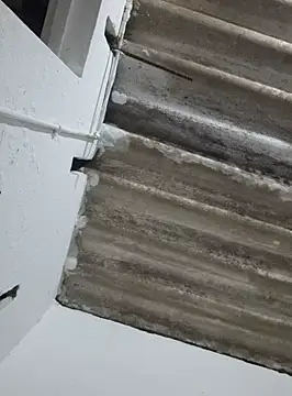 DAELAA online show from February 2025 01:54:02 AM