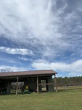 Snapshot of Sitonmyface2020@xh chatting on March 2025 03:53:01 PM Sitonmyface2020xh online show from March 2025 03:53:01 PM