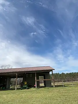 Snapshot of Sitonmyface2020@xh chatting on March 2025 10:10:01 PM Sitonmyface2020xh online show from March 2025 10:10:01 PM