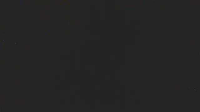 timothygonterman online show from May 2026 12:10:01 PM