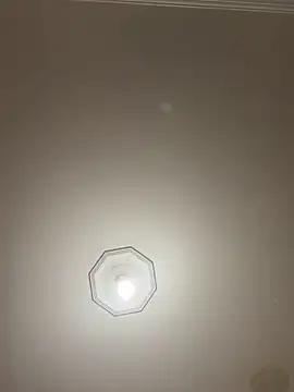 dreamusslive online show from January 2025 11:10:01 AM