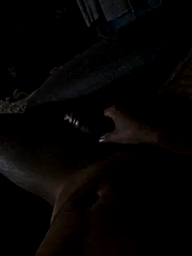 Snapshot of jorgenew chatting on November 2025 09:09:01 AM jorgenew online show from November 2025 09:09:01 AM