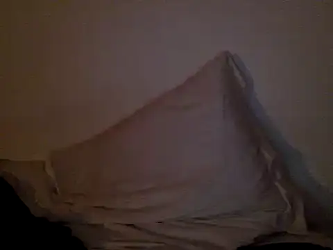 Snapshot of FelipeRiver chatting on January 2025 01:20:02 AM FelipeRiver online show from January 2025 01:20:02 AM