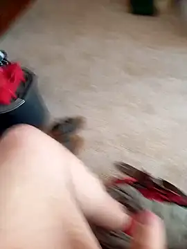 maiki7778 online show from October 2025 12:34:02 PM