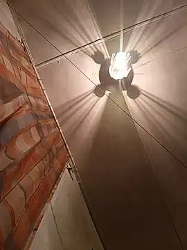 Snapshot of Cerd_Ayaz chatting on March 2025 02:10:02 PM Cerd Ayaz online show from March 2025 02:10:02 PM