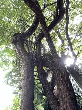 Night dreams online show from September 2025 07:53:01 AM