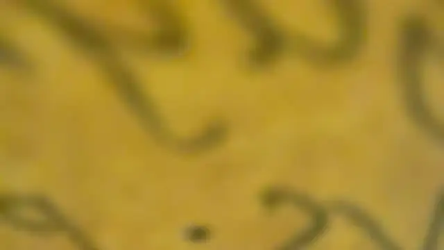 Snapshot of fmodel chatting on January 2025 03:44:01 PM fmodel online show from January 2025 03:44:01 PM