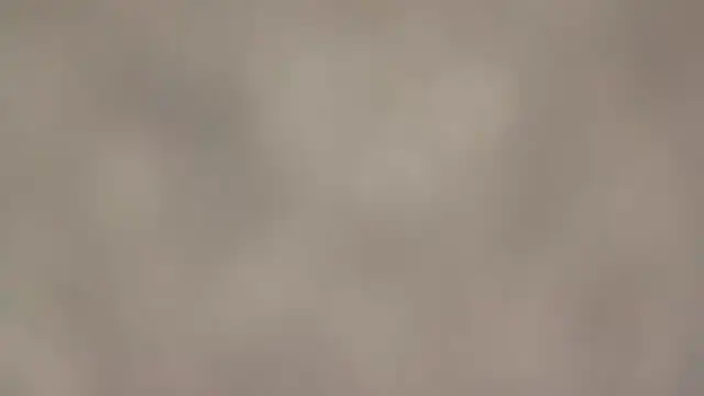 Snapshot of fmodel chatting on September 2025 01:44:02 PM fmodel online show from September 2025 01:44:02 PM