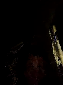 Snapshot of tropikboy chatting on November 2025 12:10:01 AM tropikboy online show from November 2025 12:10:01 AM