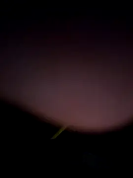 tropikboy online show from February 2026 12:53:02 AM