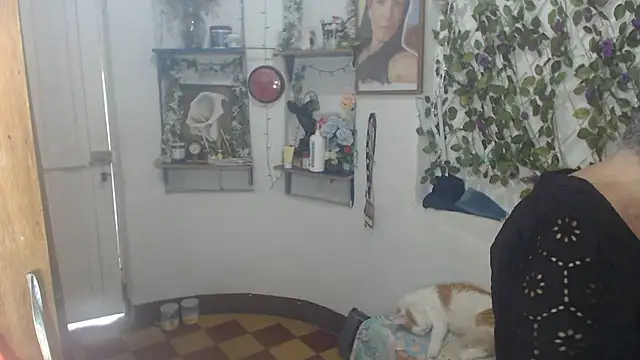 Snapshot of FunnyGrandma chatting on July 2026 08:11:02 PM FunnyGrandma online show from July 2026 08:11:02 PM