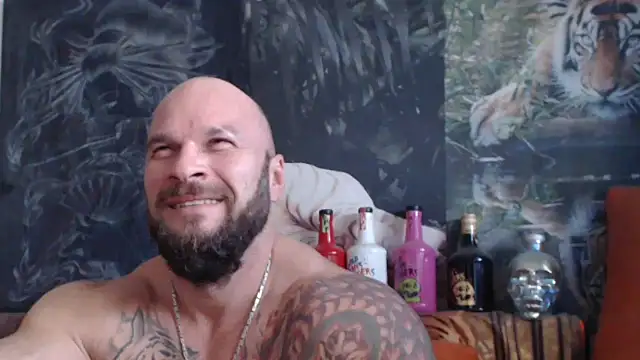 viking 30 online show from October 2025 07:30:01 AM