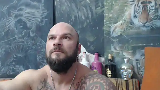 viking 30 online show from October 2025 04:53:02 PM