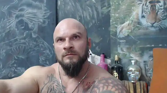 viking 30 online show from November 2025 07:57:02 PM