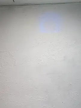 Snapshot of TommyMomentum chatting on September 2025 04:38:01 AM TommyMomentum online show from September 2025 04:38:01 AM