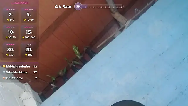jasminne  online show from July 2026 04:27:01 PM