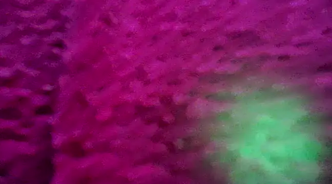 CZboobs online show from February 2025 08:54:02 PM