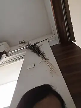 Snapshot of Manjushri35 chatting on February 2025 04:47:02 AM Manjushri35 online show from February 2025 04:47:02 AM