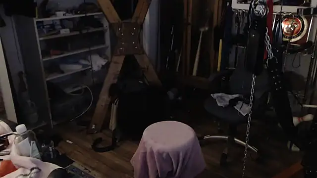 Snapshot of Transjoni chatting on January 2025 03:52:02 PM Transjoni online show from January 2025 03:52:02 PM