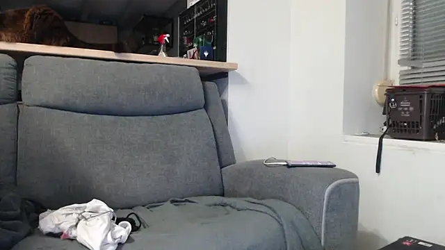 missthon0 online show from January 2026 04:11:01 PM