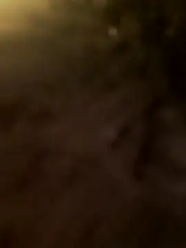 Snapshot of Dirtyfeelin chatting on February 2026 06:07:01 PM Dirtyfeelin online show from February 2026 06:07:01 PM