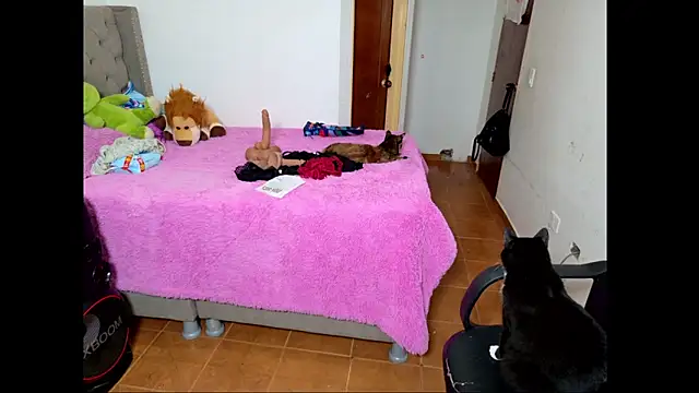 Snapshot of emily_honter chatting on December 2025 08:46:01 PM emily honter online show from December 2025 08:46:01 PM