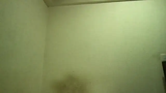 Snapshot of Magicwordsforme chatting on March 2025 12:40:02 AM Magicwordsforme online show from March 2025 12:40:02 AM