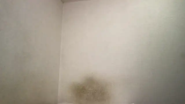 Snapshot of Magicwordsforme chatting on March 2025 12:25:02 AM Magicwordsforme online show from March 2025 12:25:02 AM