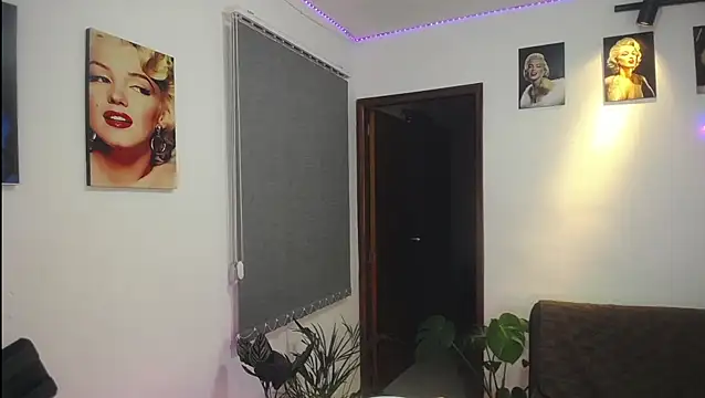 shellsy hans online show from February 2025 09:11:02 AM