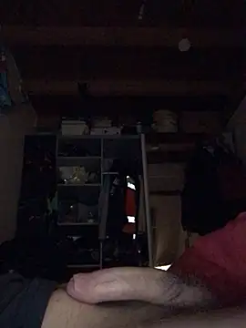 Snapshot of Chris-LE91 chatting on January 2026 03:55:02 AM Chris-LE91 online show from January 2026 03:55:02 AM