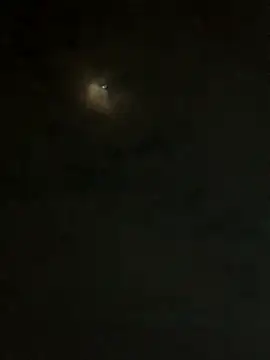 Snapshot of jesusthedonkey chatting on November 2025 01:31:01 AM jesusthedonkey online show from November 2025 01:31:01 AM