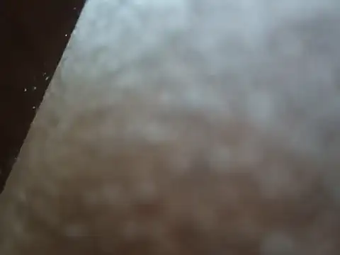 Snapshot of PrinceNoAlbert chatting on December 2024 03:33:01 PM PrinceNoAlbert online show from December 2024 03:33:01 PM