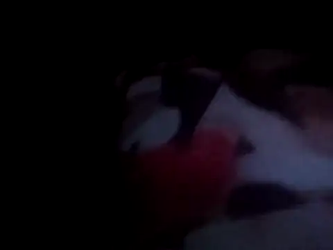 Snapshot of PrinceNoAlbert chatting on December 2024 01:02:02 AM PrinceNoAlbert online show from December 2024 01:02:02 AM