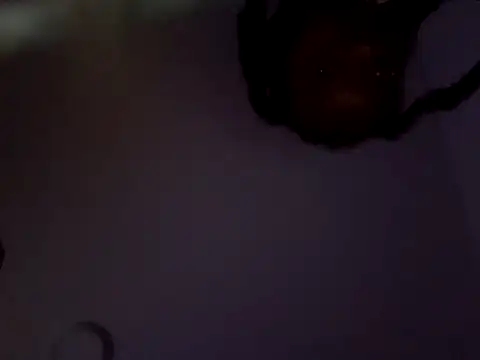 Snapshot of PrinceNoAlbert chatting on February 2025 01:49:02 PM PrinceNoAlbert online show from February 2025 01:49:02 PM