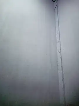 Snapshot of TropicalFlower chatting on December 2025 10:31:01 AM TropicalFlower online show from December 2025 10:31:01 AM