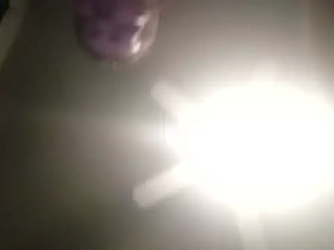 Snapshot of thefire420 chatting on December 2024 02:38:01 PM thefire420 online show from December 2024 02:38:01 PM