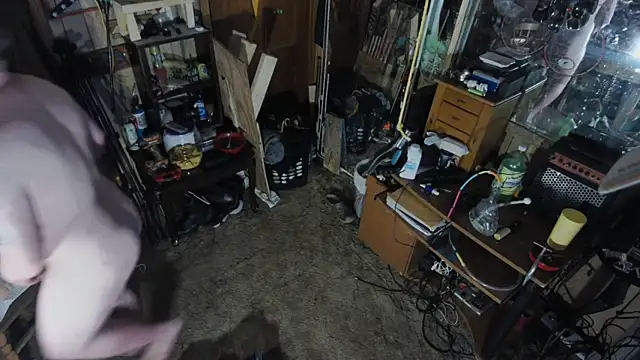 Snapshot of sex4fun_21 chatting on March 2025 04:41:01 AM sex4fun 21 online show from March 2025 04:41:01 AM