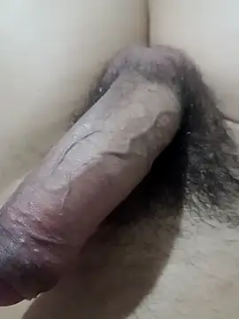 Snapshot of DozenDistance chatting on February 2026 04:19:01 AM DozenDistance online show from February 2026 04:19:01 AM