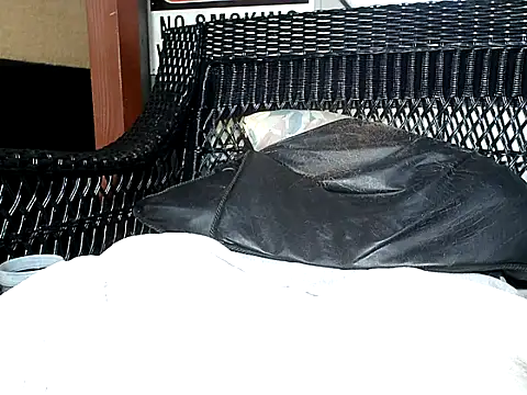 Snapshot of HungHawaiian808@xh chatting on December 2024 02:15:01 AM HungHawaiian808xh online show from December 2024 02:15:01 AM