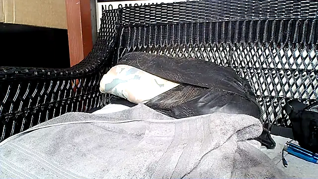 Snapshot of HungHawaiian808@xh chatting on January 2025 10:01:01 PM HungHawaiian808xh online show from January 2025 10:01:01 PM