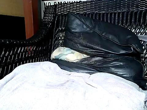 Snapshot of HungHawaiian808@xh chatting on March 2025 02:49:02 AM HungHawaiian808xh online show from March 2025 02:49:02 AM