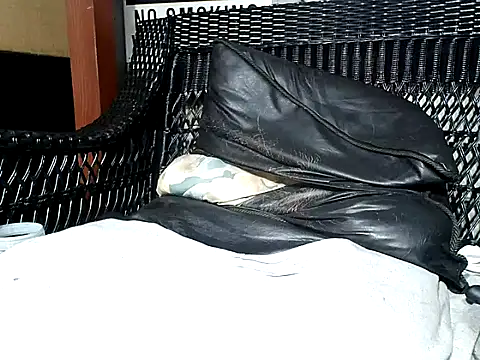 Snapshot of HungHawaiian808@xh chatting on March 2025 08:34:01 AM HungHawaiian808xh online show from March 2025 08:34:01 AM