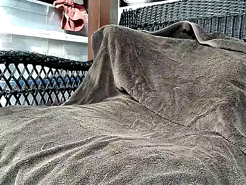 Snapshot of HungHawaiian808@xh chatting on October 2025 04:24:02 AM HungHawaiian808xh online show from October 2025 04:24:02 AM