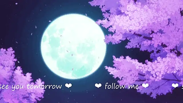 Alex smith00 online show from December 2024 03:47:02 AM